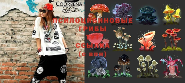 сатива Липки