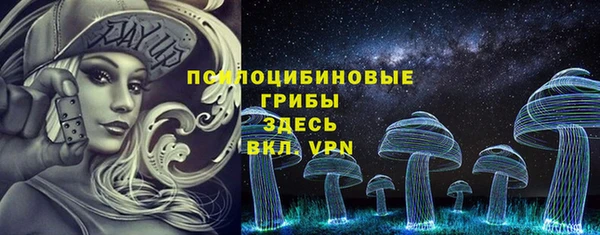 сатива Липки