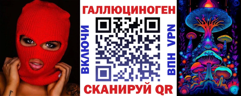 Псилоцибиновые грибы Psilocybe Саратов