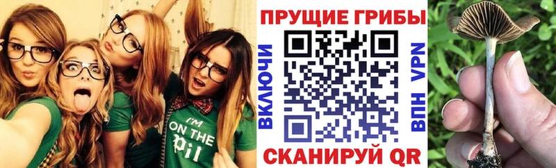 Псилоцибиновые грибы ЛСД  где продают наркотики  Саратов 