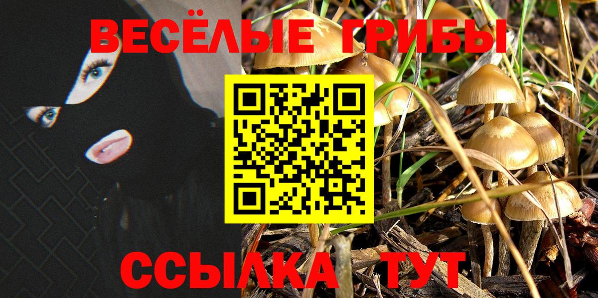 Псилоцибиновые грибы Psilocybine cubensis Саратов